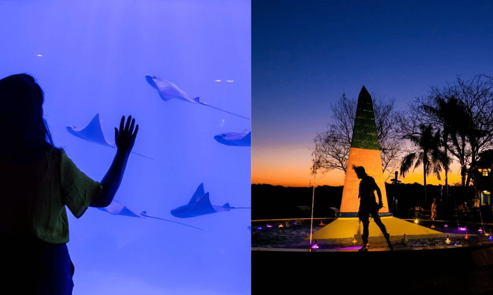 Janeiro histórico impulsiona turismo em Foz do Iguaçu, com mais de 155 mil visitantes no Marco e no AquaFoz