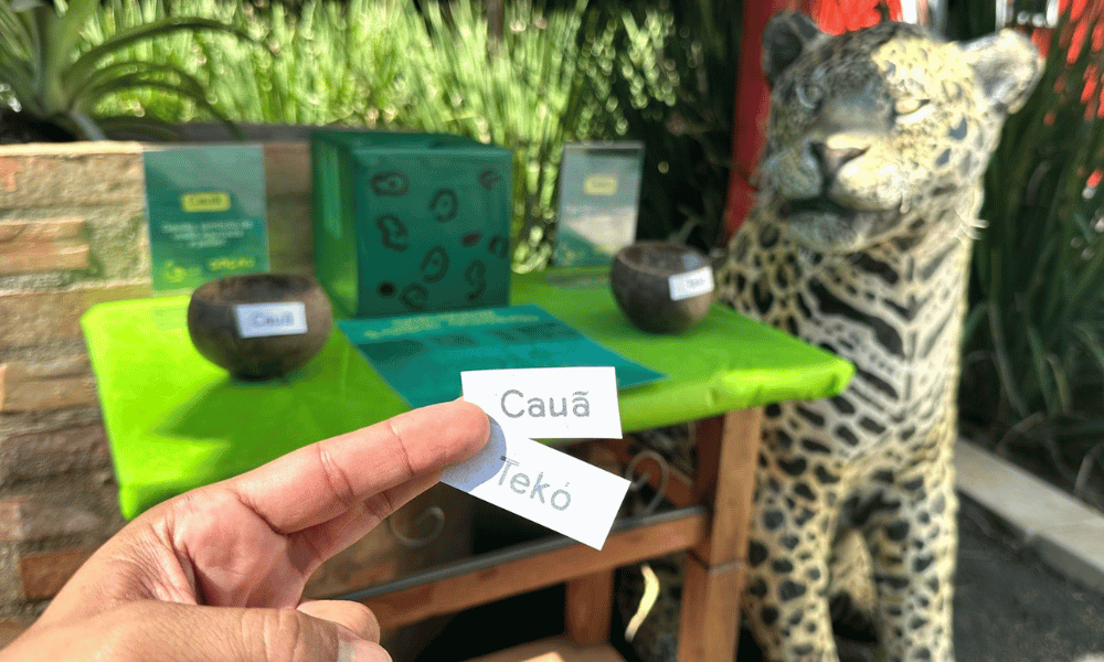 Dar nome é criar conexão: Eco Park Foz e Projeto Onças do Iguaçu convidam público a nomear nova onça-pintada