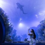 Cataratas e AquaFoz lançam combo “Experiência Completa”