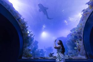 Cataratas e AquaFoz lançam combo “Experiência Completa”