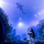 Feriado do Dia do Trabalhador movimenta turismo e coloca o AquaFoz em evidência em Foz do Iguaçu