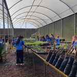 Escola municipal participa de oficina no Horto Municipal de Foz