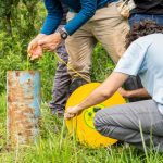 Pesquisa pioneira da Itaipu, do Itaipu Parquetec e da UFPR se tornou referência na gestão de aquíferos