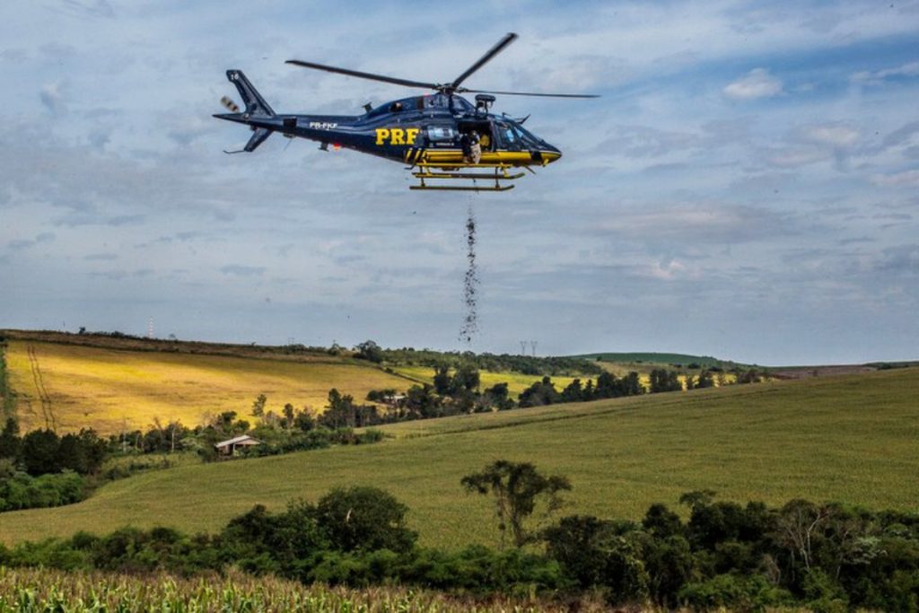 PRF reforça reflorestamento com semeadura aérea no Paraná