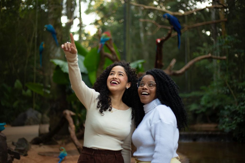 Parque das Aves gratuito para moradores no aniversário de Foz