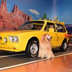 Ministério do Turismo divulga resultado de edital para diagnóstico e mapeamento do turismo pet friendly no Brasil