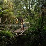 Parque das Aves atualiza horário de funcionamento com fechamento às 16h30