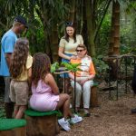 Parque das Aves promove exposição sobre espécies ameaçadas da Mata Atlântica