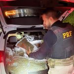 Veículo é recuperado e 255 kg de droga apreendidos na BR-277