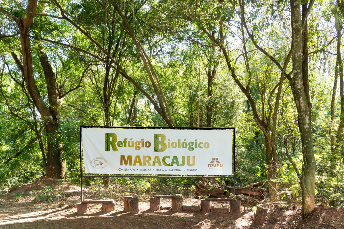 Refúgio Biológico Maracaju tem gestão binacional. Foto: Sara Cheida/Itaipu Binacional.