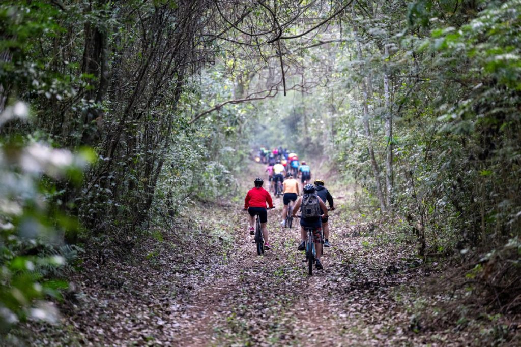Passeio ciclístico no RBV promove contato com a natureza. Foto: William Brisida/Itaipu Binacional.