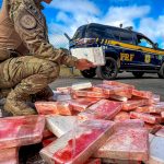 Dia Internacional de Combate ao Tráfico: PRF apreende quase 100 kg de cocaína com escondidos em carreta no Paraná