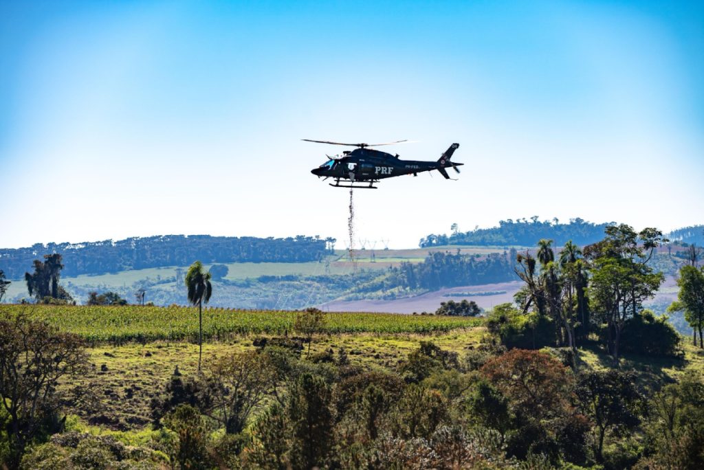 PRF realiza semeadura aérea de 18 toneladas de sementes de palmeira-juçara no Paraná