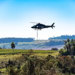 PRF realiza semeadura aérea de 18 toneladas de sementes de palmeira-juçara no Paraná
