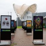 Exposição “Reciclando Olhares” une arte e educação ambiental no Gramadão