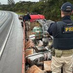 PRF apreende quase 2,5 toneladas de maconha em Guarapuava (PR)