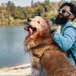 Ministério do Turismo lança pesquisa para mapear mercado pet friendly e orientar setor e turistas