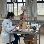 USP e Unioeste abrem inscrições para Doutorado em Enfermagem em Foz