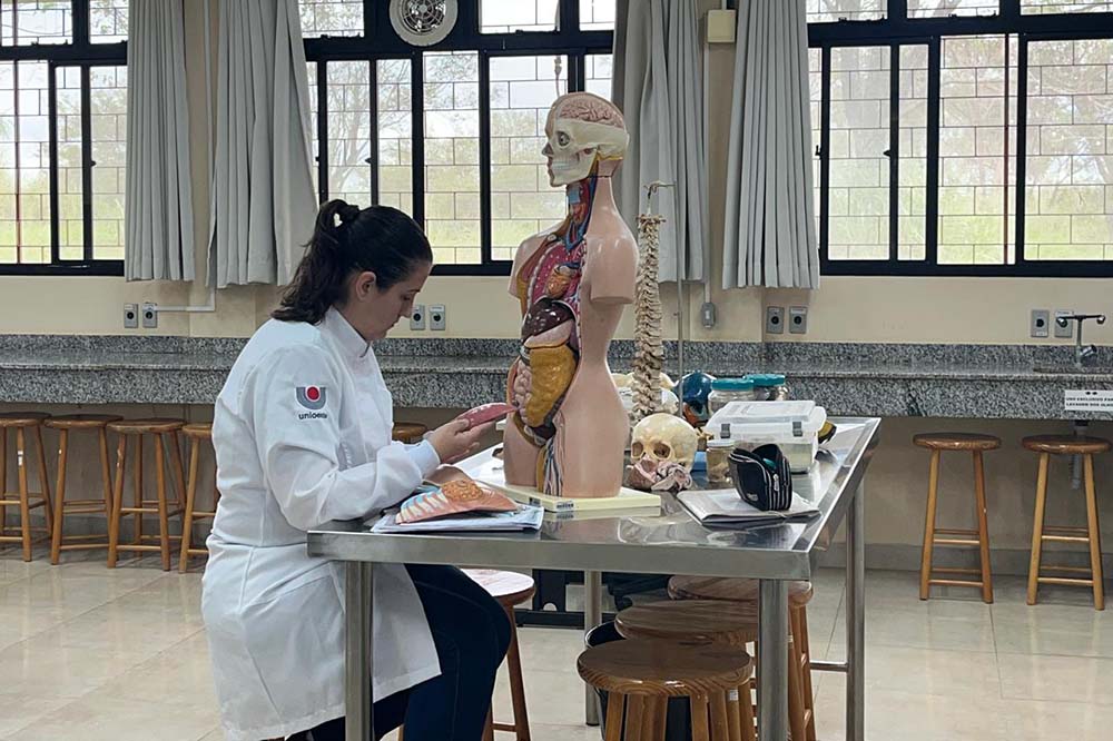 USP e Unioeste abrem inscrições para Doutorado em Enfermagem em Foz