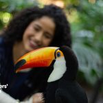 Parque das Aves conquista selo Travellers’ Choice 2026