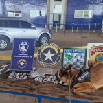 Agente canina Urla da Receita Federal detecta droga em motocicleta na Aduana da Ponte da Amizade