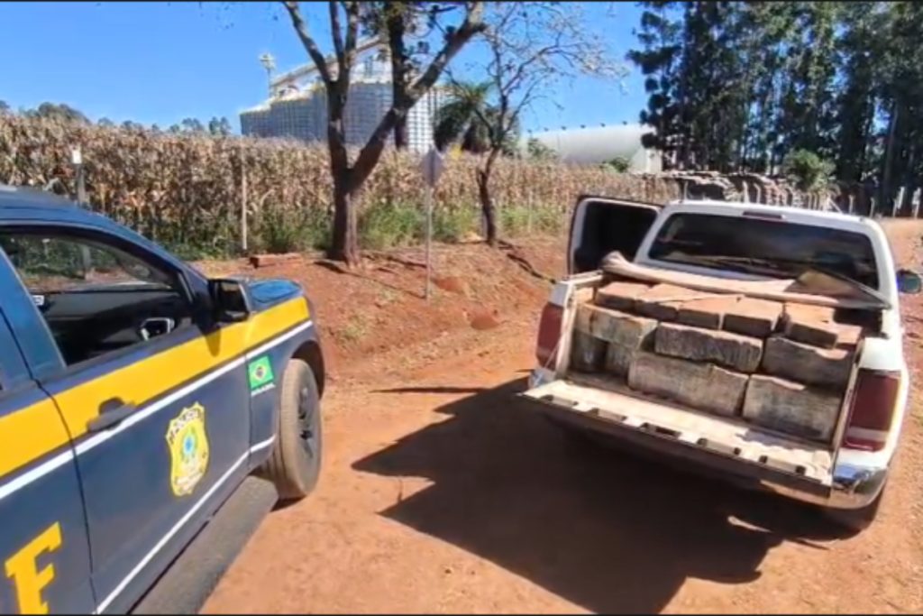 PRF apreende quase uma tonelada de maconha e recupera caminhonete furtada após abordagem em Faxinal (PR)