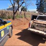 PRF apreende quase uma tonelada de maconha e recupera caminhonete furtada após abordagem em Faxinal (PR)