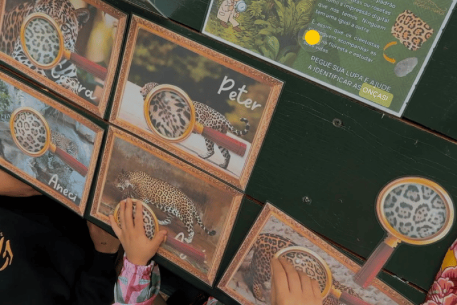 Site Iguassu News tam foto (14)