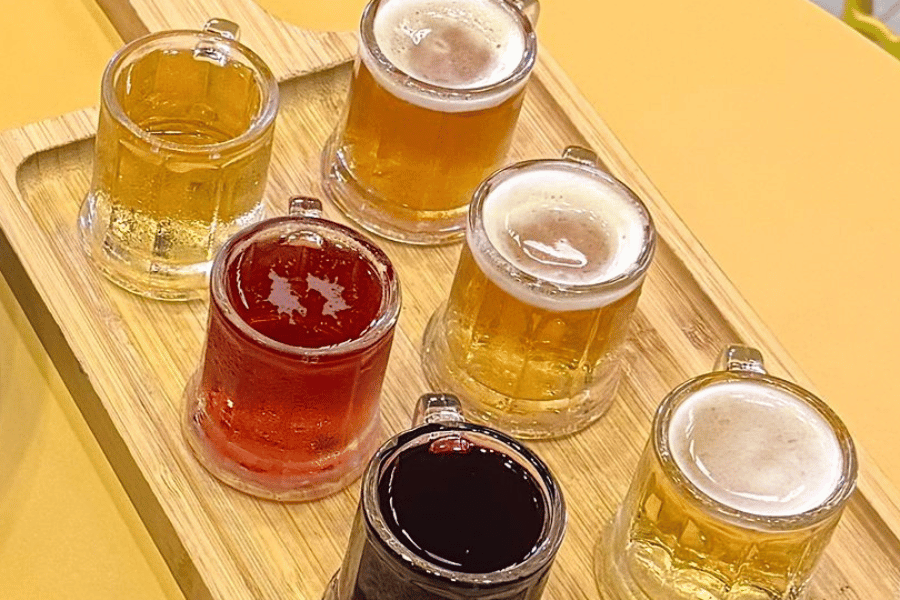 Site Iguassu News tam foto (17)