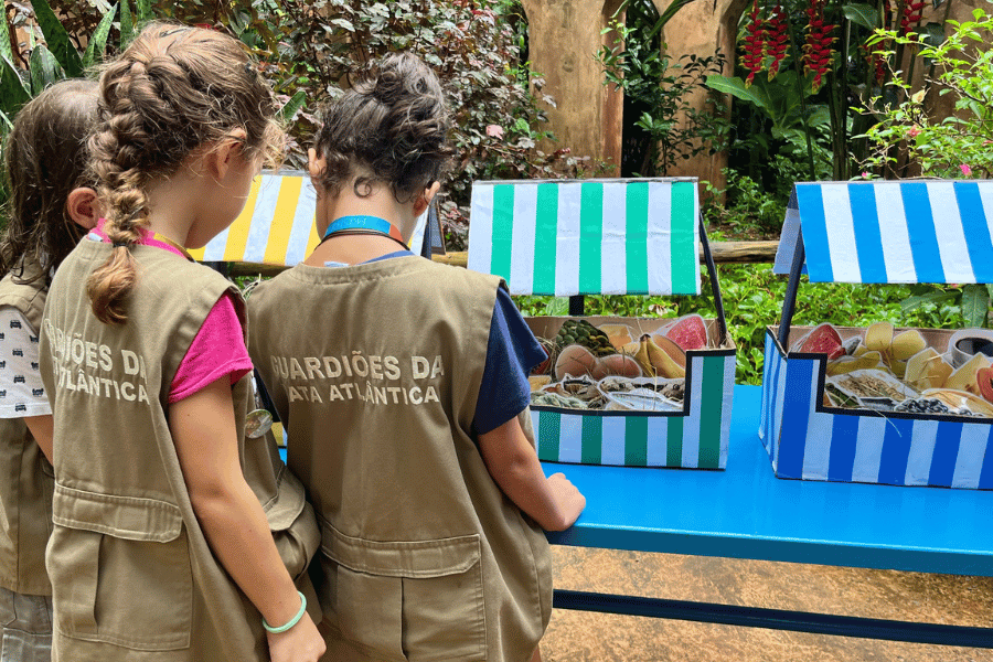 Site Iguassu News tam foto - 2025-03-19T161339.725