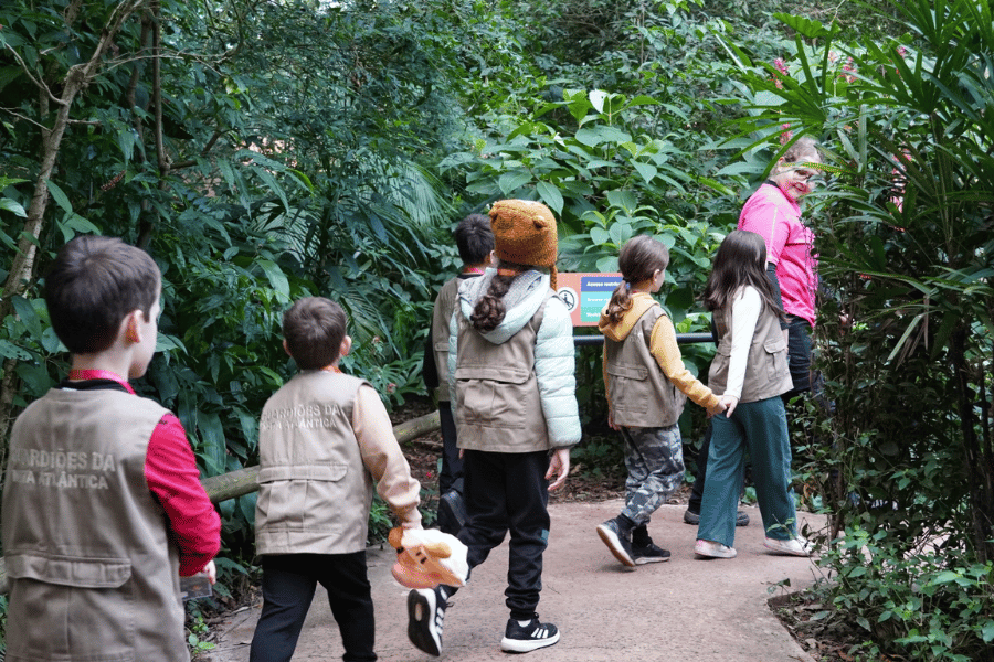 Site Iguassu News tam foto - 2026-02-04T164540.699