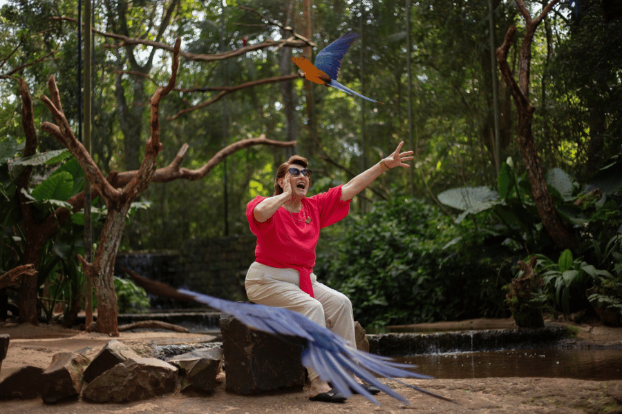Site Iguassu News tam foto - 2026-03-04T123345.090
