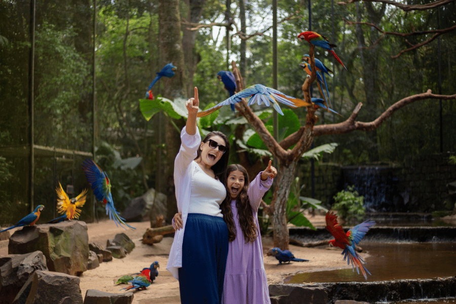 Site Iguassu News tam foto (68)