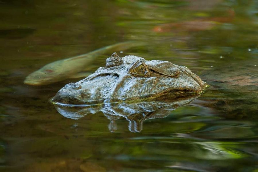 WhatsApp Image 2025-10-20 at 08.11.04 WhatsApp Image 2025-10-20 at 08.11.04