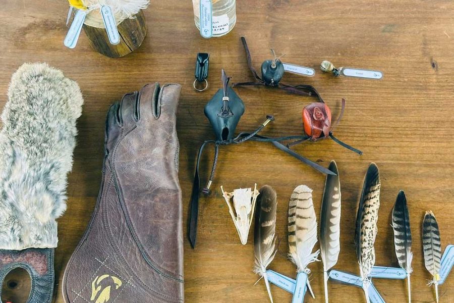 WhatsApp Image 2025-10-24 at 12.24.59 WhatsApp Image 2025-10-24 at 12.24.59