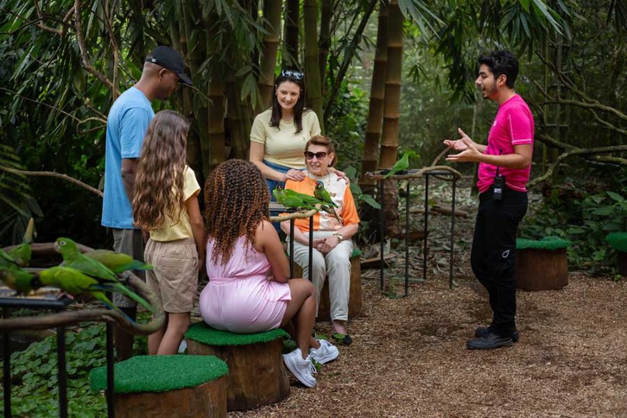 WhatsApp Image 2025-11-03 at 12.52.02