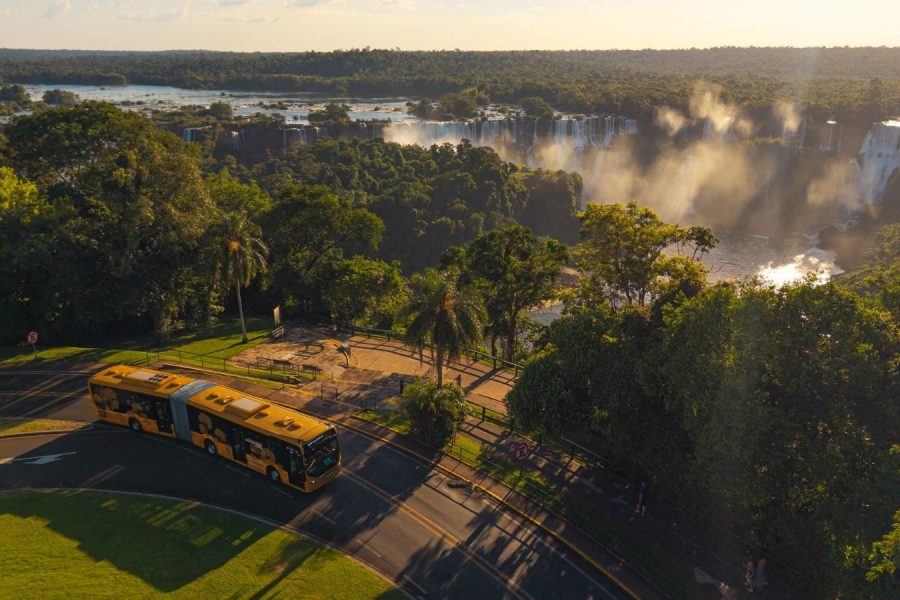 WhatsApp Image 2026-03-02 at 17.33.32