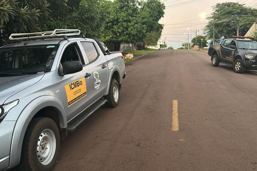 WhatsApp Image 2026-04-01 at 09.13.041