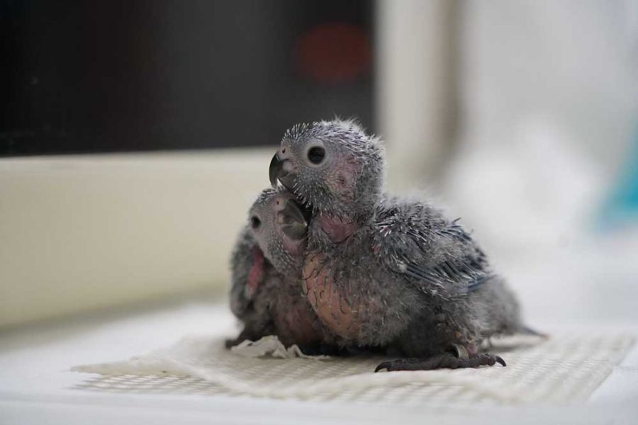 WhatsApp Image 2026-04-06 at 15.14.44