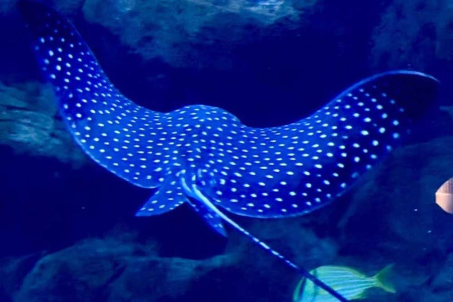 WhatsApp Image 2026-04-16 at 15.13.07