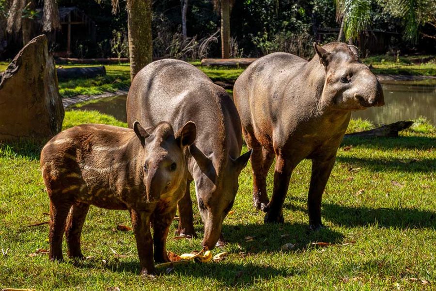 WhatsApp Image 2026-04-27 at 15.46.33