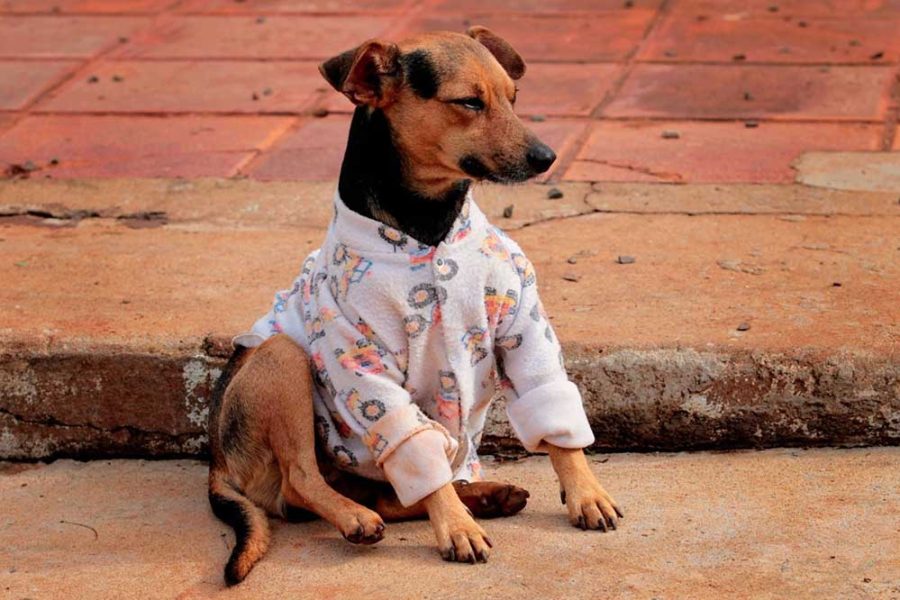 WhatsApp Image 2026-04-30 at 10.55.04