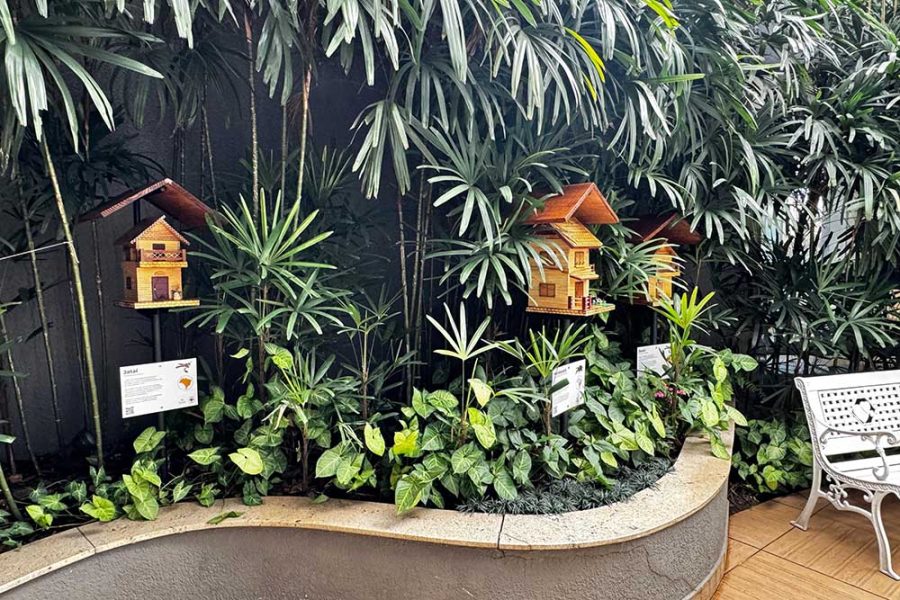 meliponario meliponario